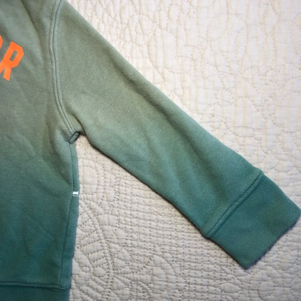 GAP Toddler Green Ombre Dinosaur “Reach for the sky” Sweatshirt Size 18 months